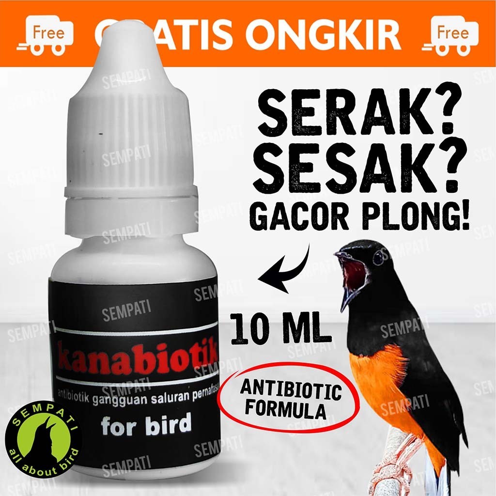 SEMPATI Kanabiotik Obat Burung Batuk Hilang Suara Antibiotik Gangguan Saluran Pernafasan Burung Mura