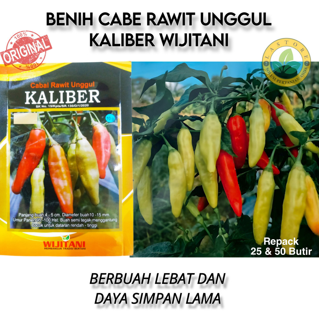 Benih Cabe Rawit Setan Kaliber Original WIJITANI Kemasan Repack