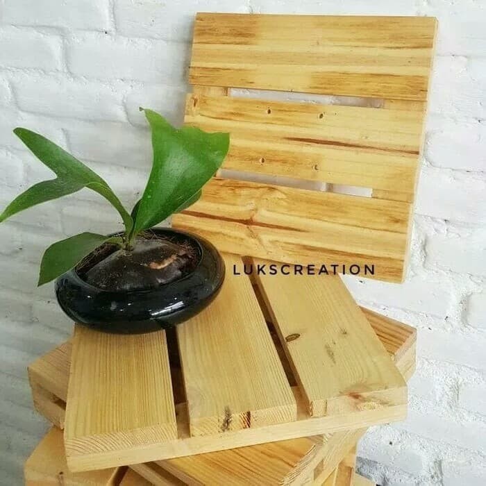 

Lalalo_ papan kayu tanduk rusa pot gantung tempel dinding dekorasi rumah