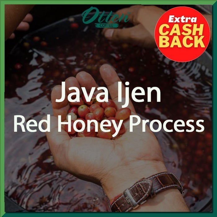 

Green Bean Arabica Java Ijen Red Honey Process - 1 Kg