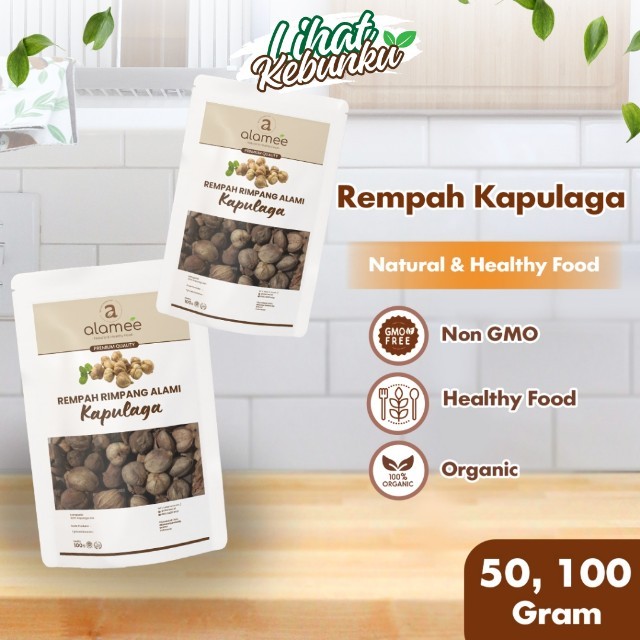 

ALAMEE Kapulaga Kering Lokal Cardamom Kapolaga Kapol Spice Rempah Rimpang Organik Alami LIHAT KEBUNKU