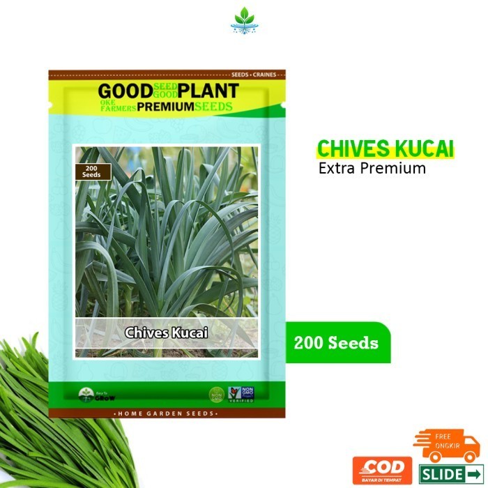 Extra Premium - 200 Biji Benih Bibit Sayur Daun Kucai Chives F1