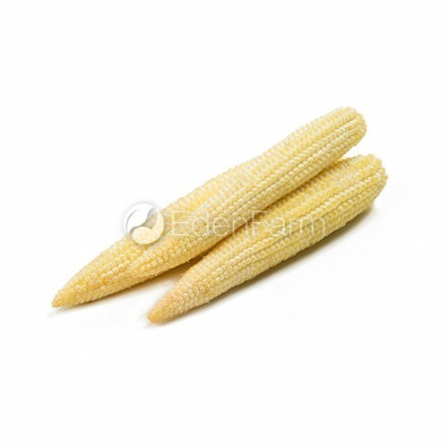 

Sayur Baby Corn Kupas Segar / Putren Kupas Segar 1 Kg