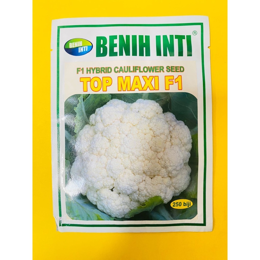 Benih Bunga Kol TOP MAXI F1 kemasan 250 biji dari DINASTY INTI