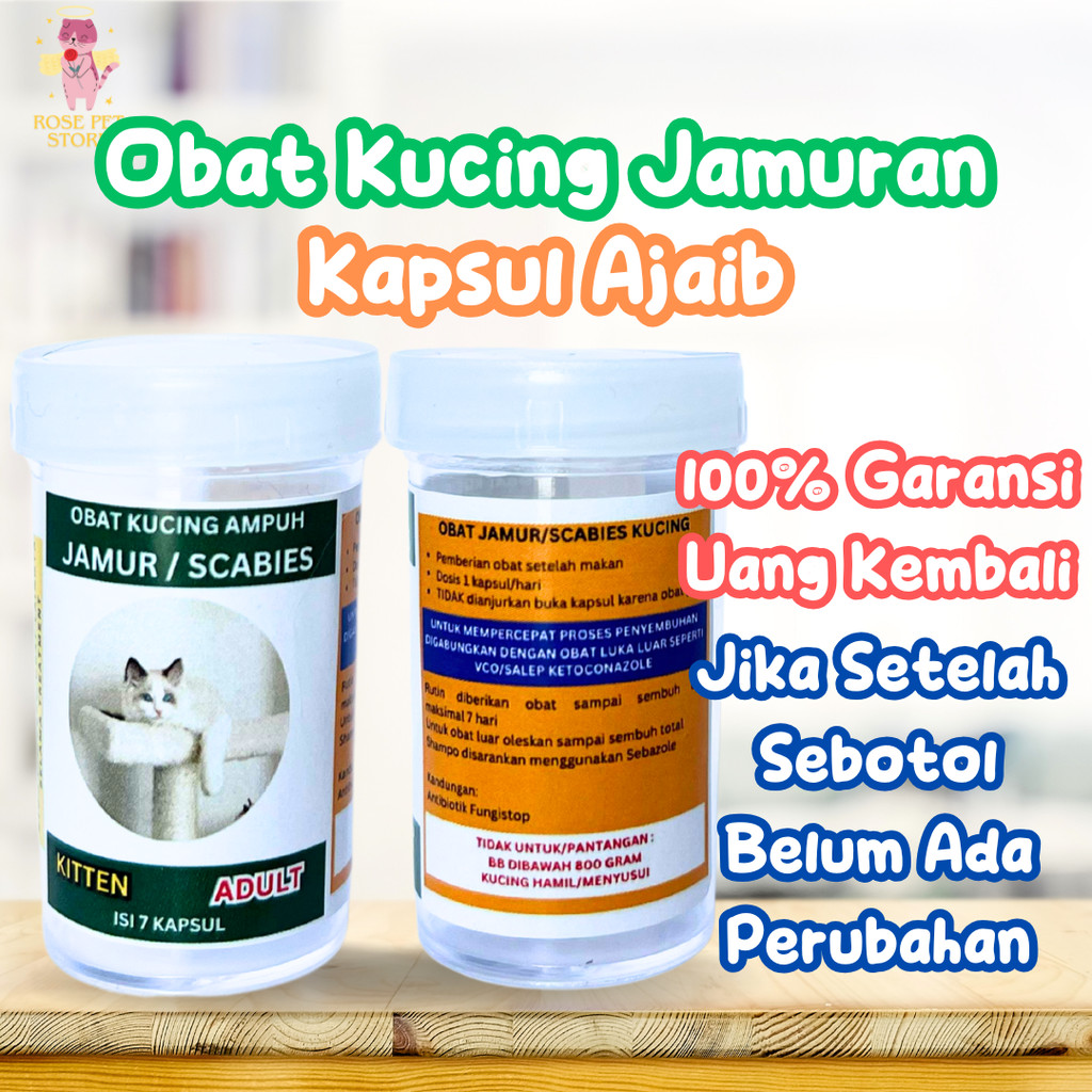 VITAMIN KUCING OBAT JAMUR SCABIES PALING AMPUH OBAT JAMUR ANJING KUCING KITTEN GRIFORCE ANTI JAMUR R