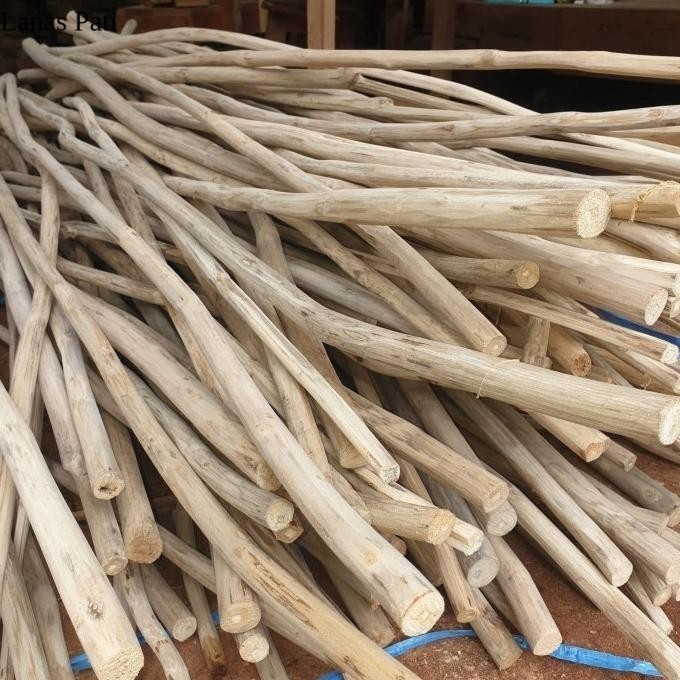 

(Ready) Ranting Pohon Jati Kayu Ranting Dekorasi Panjang 100-200 Cm Bestseller - panjang 100 cm XD6