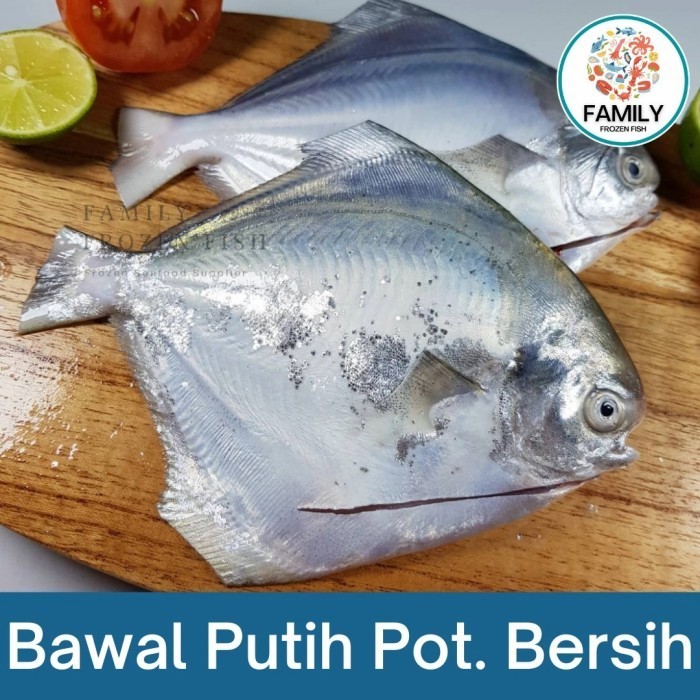 

Ikan Bawal | Ikan Bawal Putih Laut Segar Frozen 1 kg - 5-6 ekor/kg