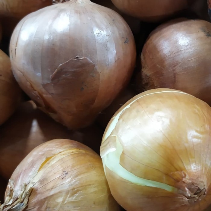 

bawang bombay