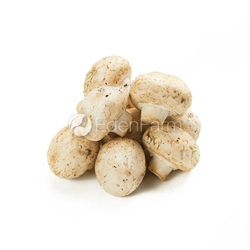 

Sayur Jamur Champignon Regular Segar 1/4 Kg - 250 Gram