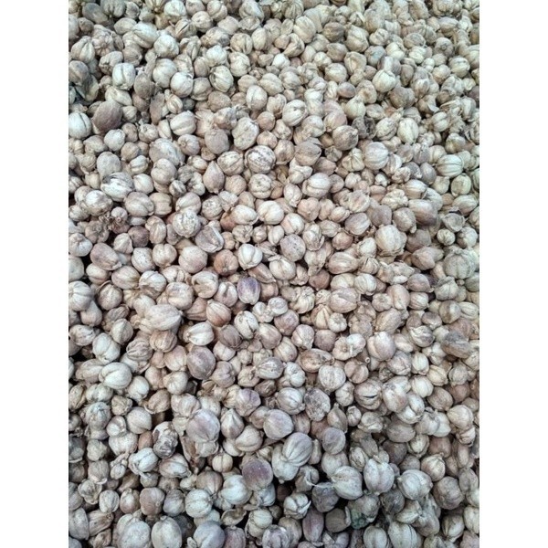 

kapulaga kering 1kg kapolaga kapol jawa Grosir original bersih blower super