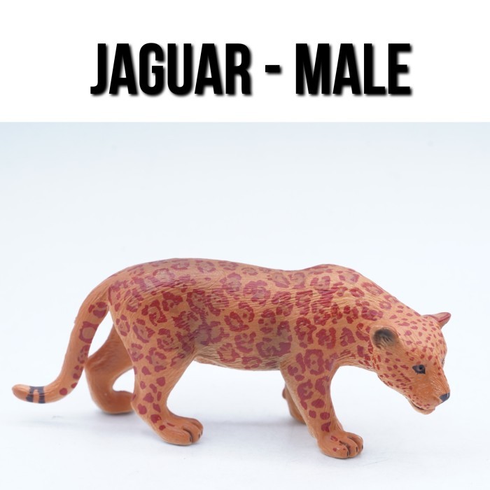 KORI Jaguar Male Panthera Onca Macan Kumbang Jantan Mainan Figure Binatang Miniature Hewan Animal Fi