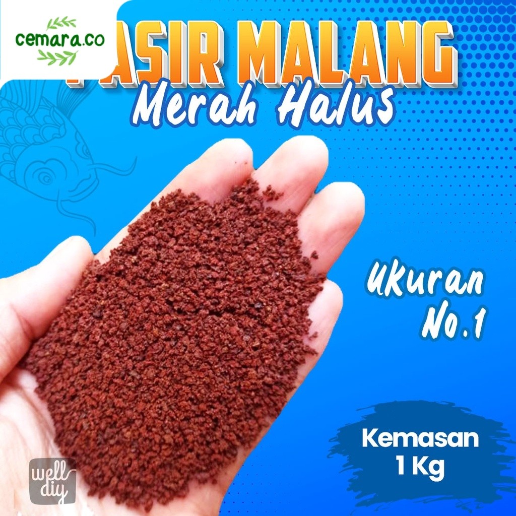 Pasir Malang Merah Ikan Channa Predator Aquarium Aquascape - 1 Kg Cemara.co