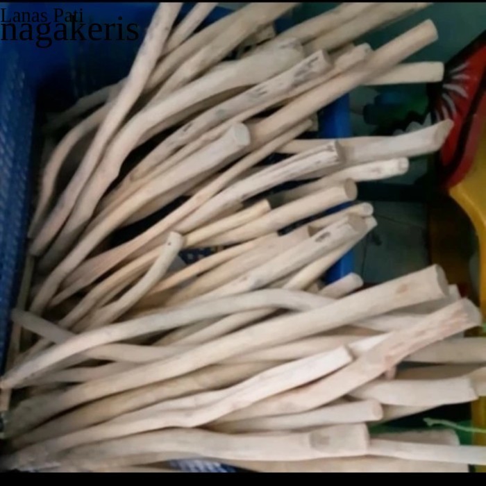 

ranting kayu jati 80cm - ranting jati - tangkringan tangkaran burung FXN10 XD6