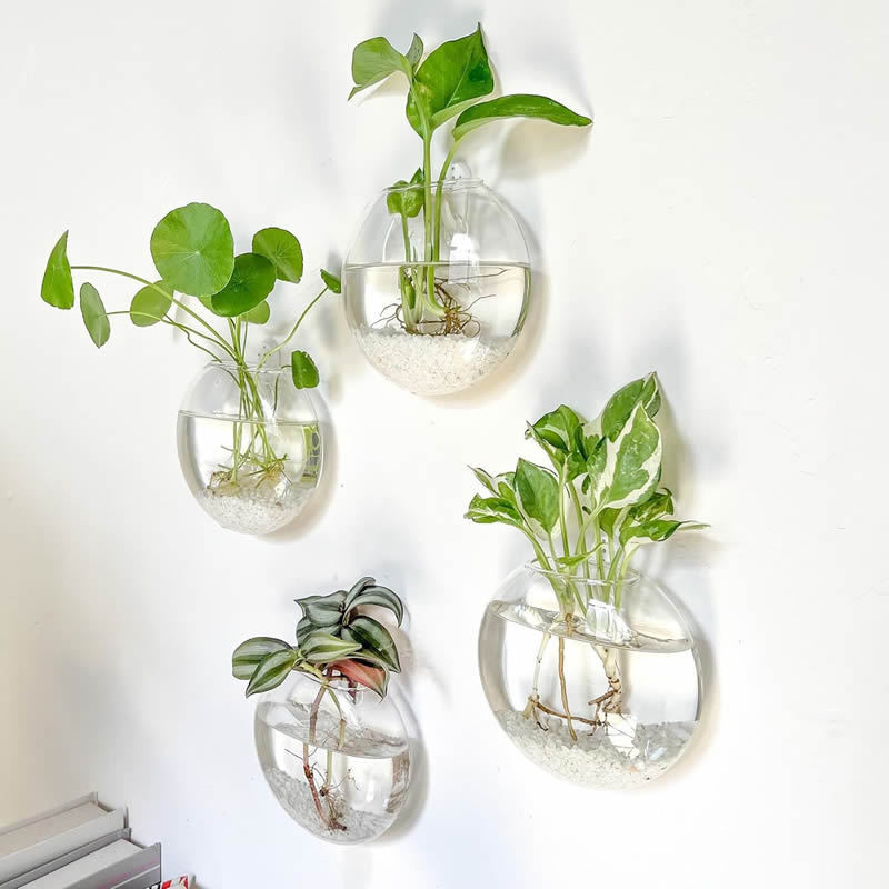 

Wall Hanging Glass Plant Terrarium Container Propagation Station Wall-Mounted Flower Vases Air Plant Terrarium Home Office Decor