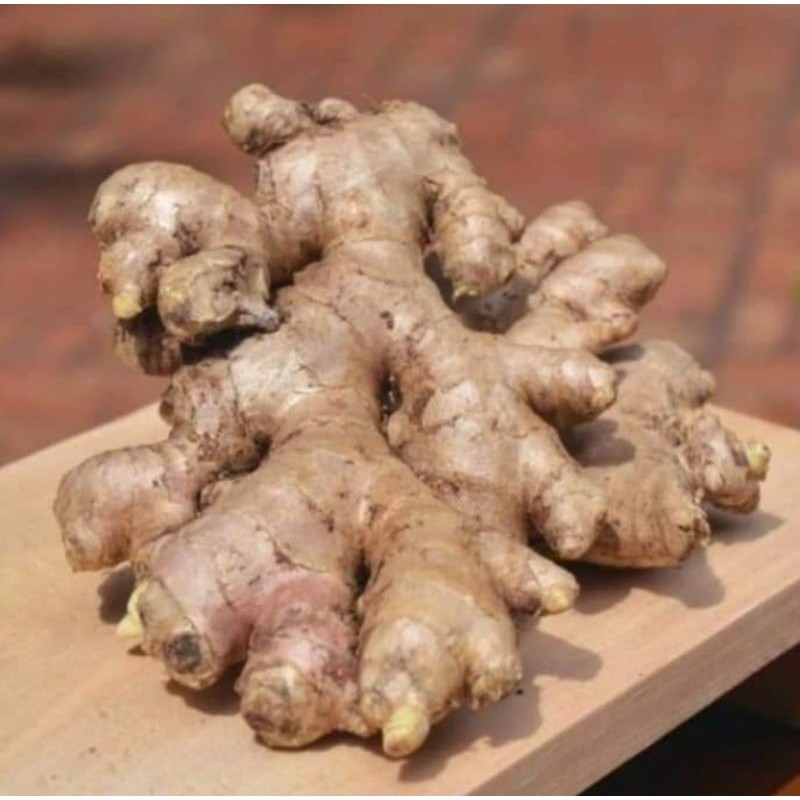 

Jahe Emprit 1kg super