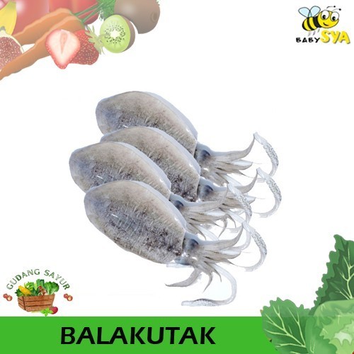 

Balakutak 500gr Ikan Segar Bekasi Jakarta Timur Utara Selatan Pusat