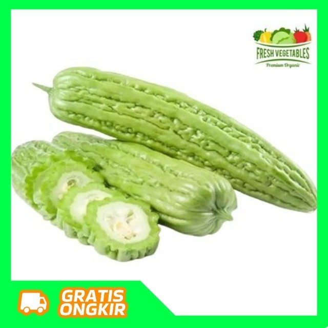 

Pare Sayur Hijau Segar