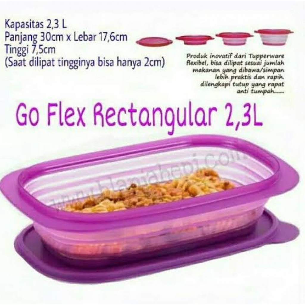 Go Flex Rectangular 2.3L Container Lipat