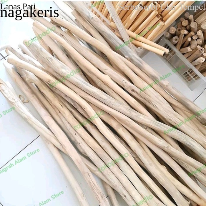 

Termurah RANTING KAYU JATI~BAHAN KERAJINAN~RANTING JATI MACRAME~200 CM FXN9 XD9