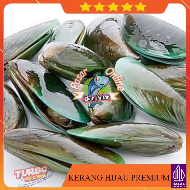 

KERANG HIJAU 1KG FRESH & FROZEN TERMURAH