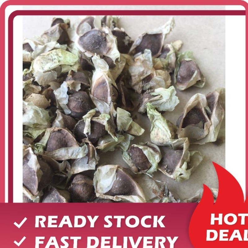 

Promo Murah OMH Terlaris [250g] Kering Kelor Sayap