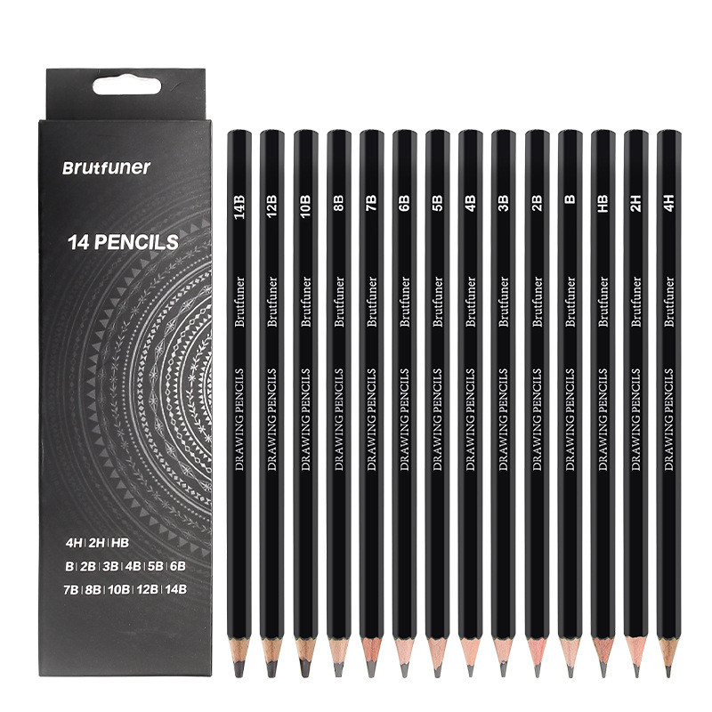 

Professional Drawing Pencils Set 14 Pcs(14B-4H) Graphite Pencil for Sketching/Shading Charcoal Pencils for Artists Art Supplies
