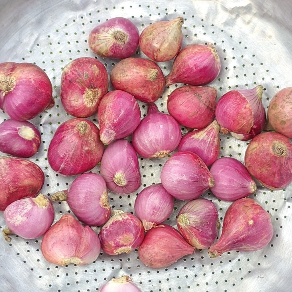 

Bawang Merah Lokal Bersih Sortir Besar 1kg Berkualitas