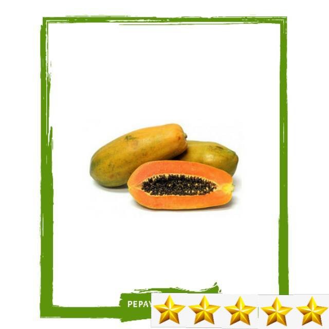 

Pepaya California SEGAR FRESH TIAP HARI MURAH BERKUALITAS. STOK TERBATAS BURUAN BELI SEBELUM STOK HA