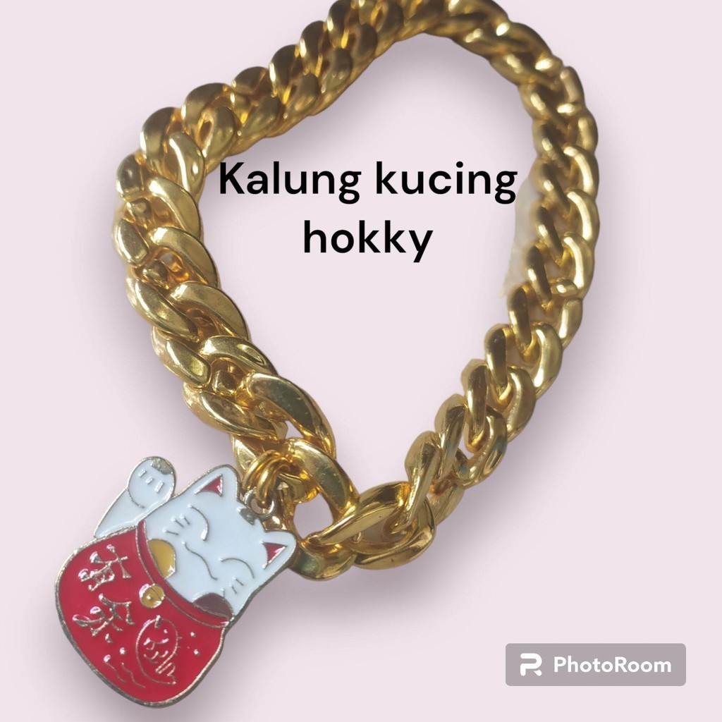 kalung kucing kalung anabul rantai besar warna gold liontin kucing hokky