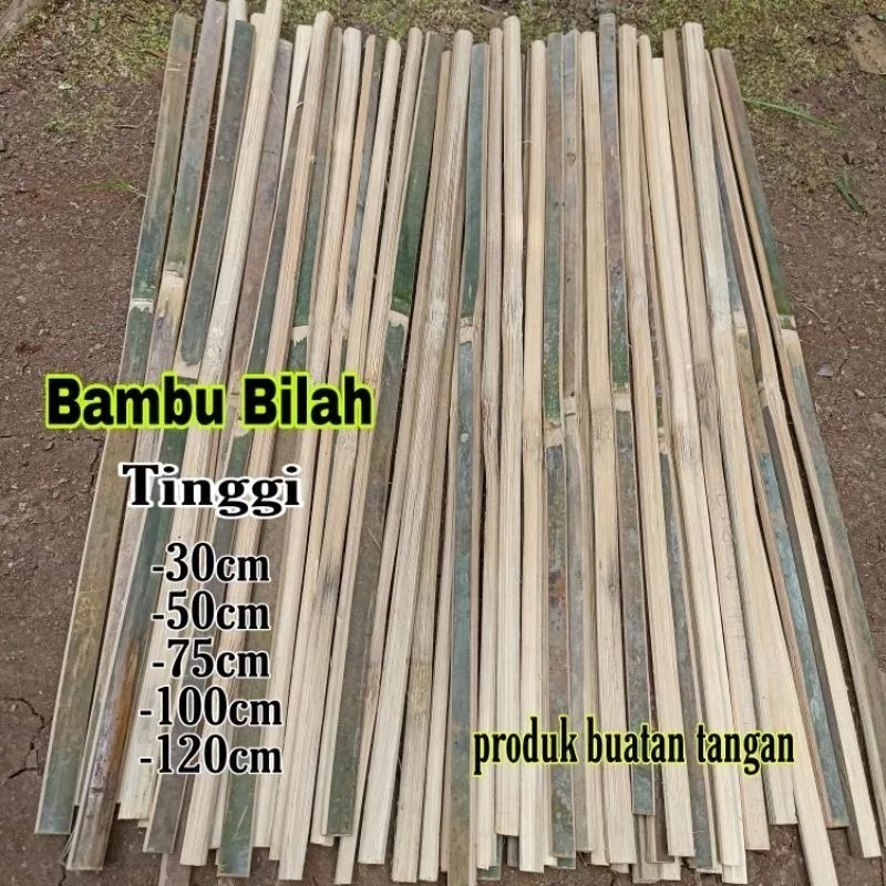Bambu Ajir / Bilahan Bambu Ajir Tanaman / Bambu Ajir Tanaman ready