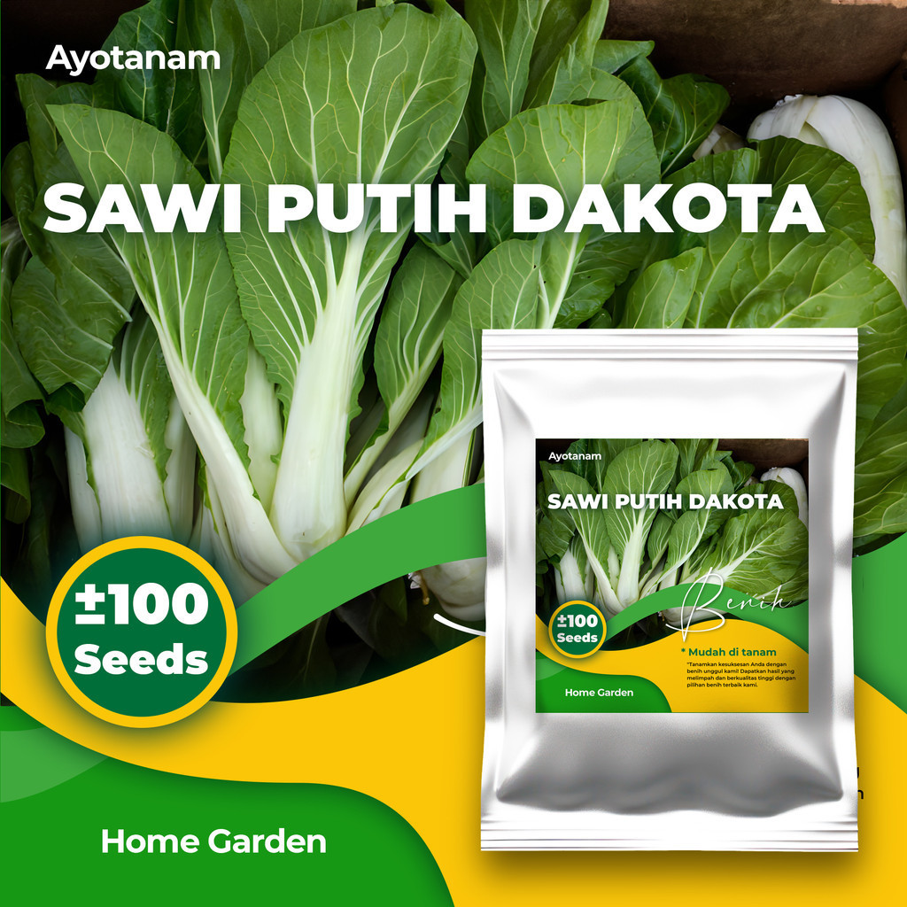 AYOTANAM Benih Sawi Putih Dakota isi ± 100 Benih