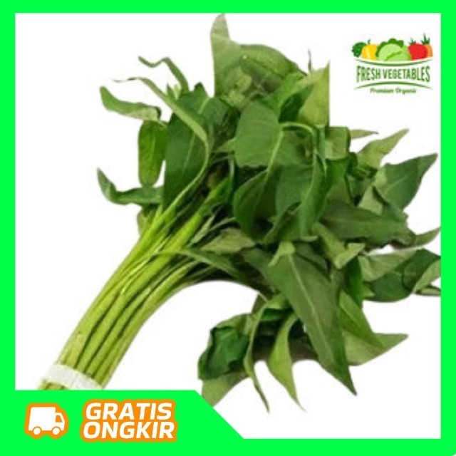 

Kangkung Segar - Bumi99 #sayursegar #sayurbekasi #sayurtermurah
