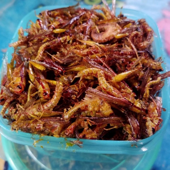 

belalang goreng promo beli 5 150rb an - gurih asin