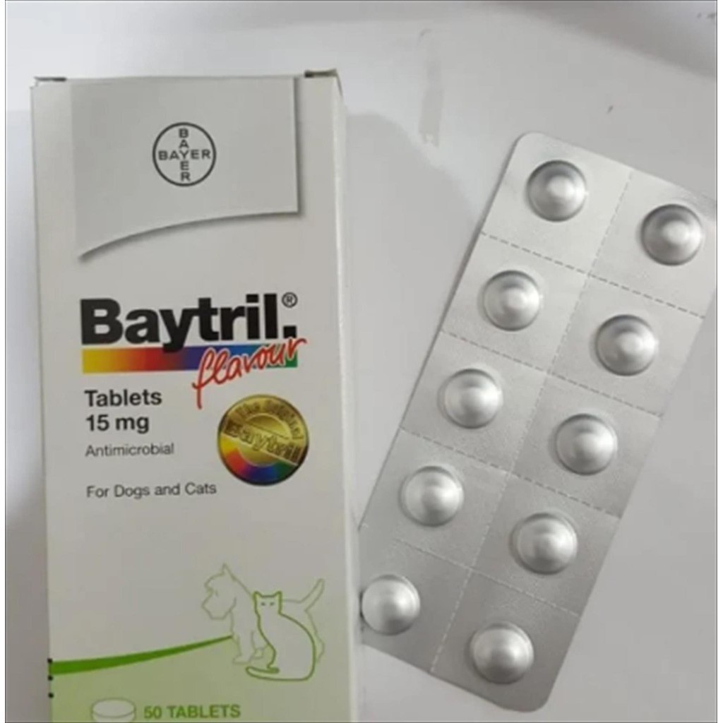 Baytril Tablet – Antibiotik Kucing & Anjing | Atasi Infeksi Bakteri, Radang, Luka, Flu Kucing