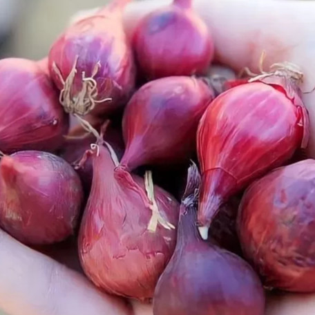 

Bawang Merah Segar 250 gram - Fresh Shallots 250 gram