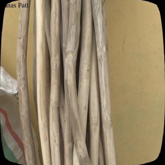 

ranting kayu jati 200 cm - tangkringan kandang ternak murai batu XD7