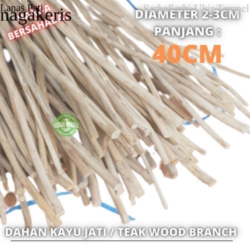 

Termurah [ Promo ] Teak wood branch macrame dahan ranting kayu jati FXN10 Murah XD8