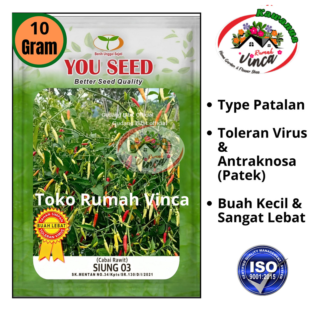 Benih Bibit Cabe Rawit Setan tipe Patalan SIUNG 03 dari cap You Seed isi 10 gram