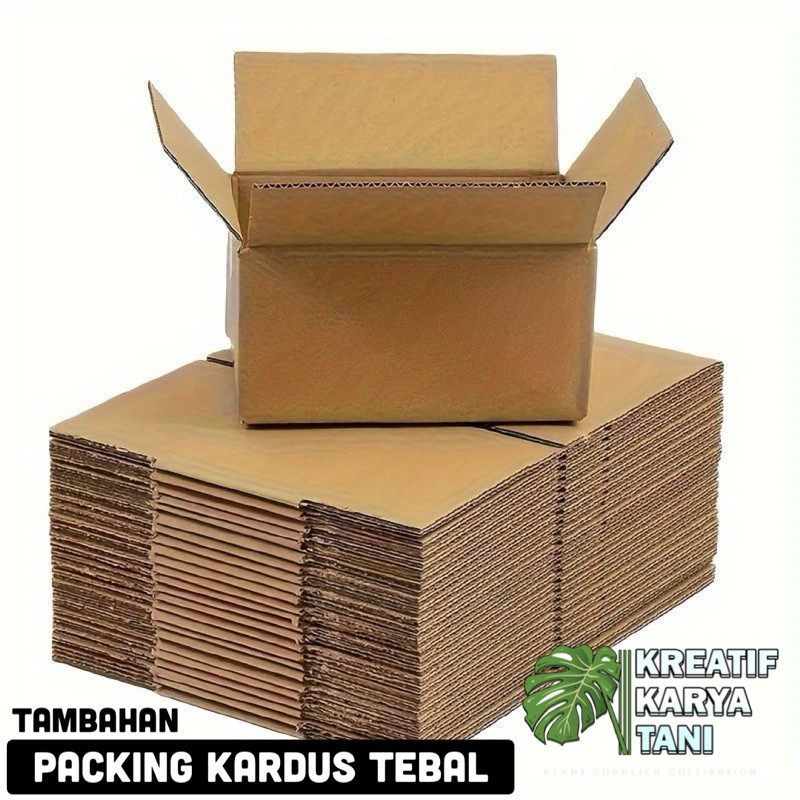 

( BISA BAYAR DI TEMPAT ) PACKING TAMBAHAN KARDUS TEBAL - MENJAGA DAN MELINDUNGI TANAMAN SAAT PENGIRIMAN