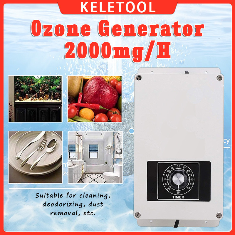 Generator Ozon Air Tetap Dingin Bersih Lebih Lama Filter Plunge Dingin Generator Ozon 2000mg/H Gelem