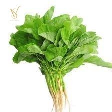 

Sayur Bayam segar Medan 1 Ikat