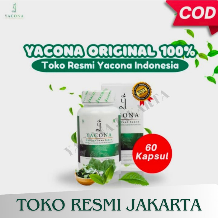 

Baru !! Obat Herbal Diabetes Terbaik Mengobati Pankreas Yacona ASLI Dijamin