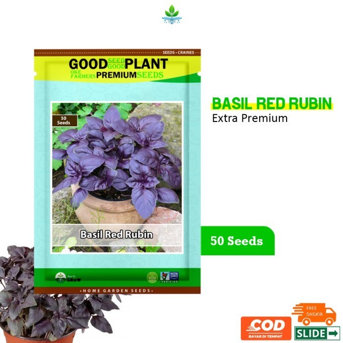 GOODSEED - 50 Biji Benih Bibit Kemangi Basil Red Rubin Herb