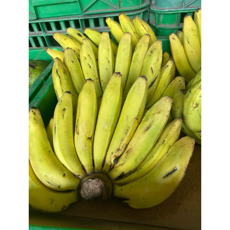 

Pisang Ambon Sisir