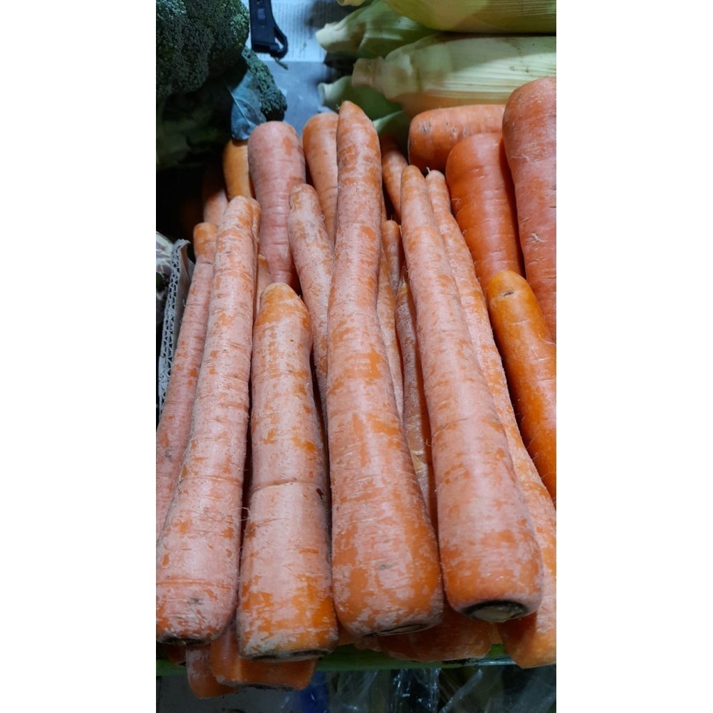 

WORTEL LOKAL [500-gram]