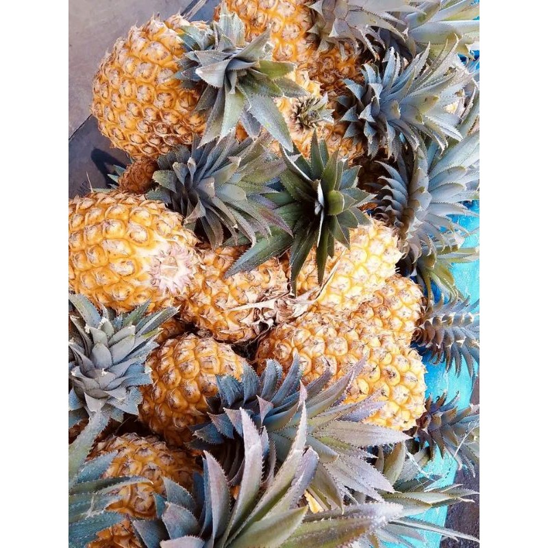 

promo buah nanas madu /pcs