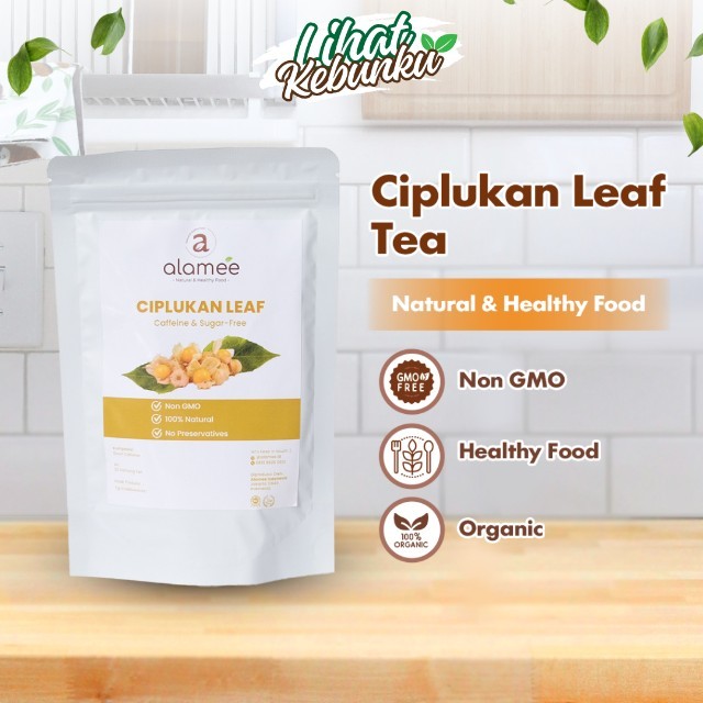 

Teh Herbal Daun Ciplukan Leaf Tea Minuman Alami LIHAT KEBUNKU