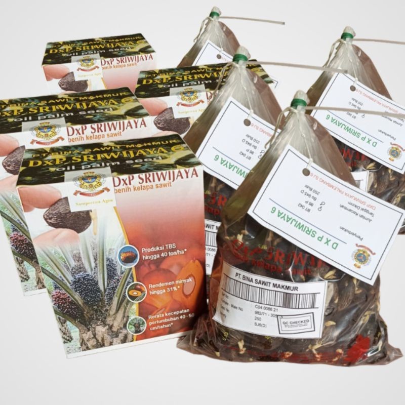 bibit kelapa sawit Sriwijaya 6 isi 250 butir