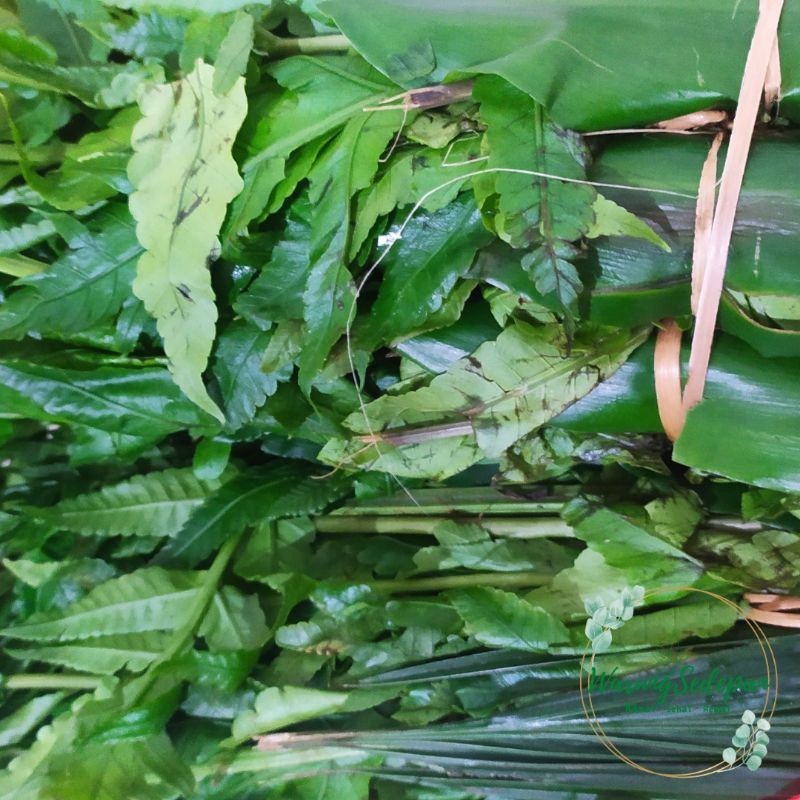 

Daun Pakis Segar per ikat 250grm besar Daun untuk Sayur