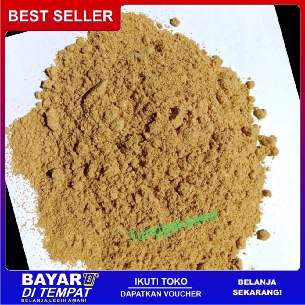 

OMH Terlaris Murah BANGLE BUBUK [100g] Herbal Antioksidan Nafsu Makan Rematik Demam